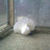 ionut22