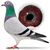 lucivet