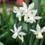 georgy03021993
