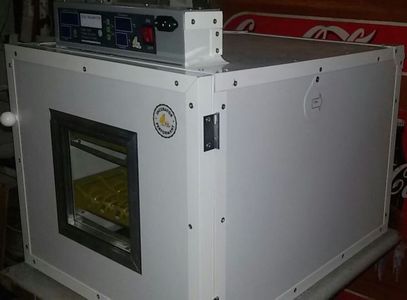 Incubator automat 96 rata
