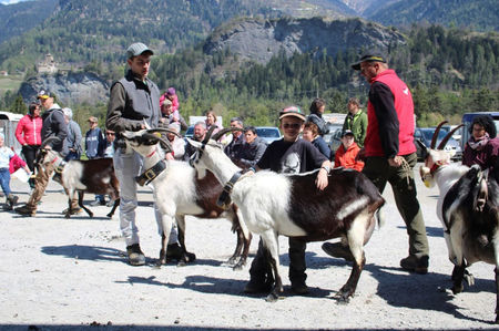 Bucuria copiilor nu ca la noi, la romani