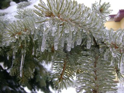 Freezing rain