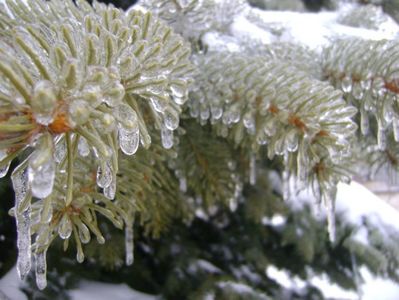 Freezing rain