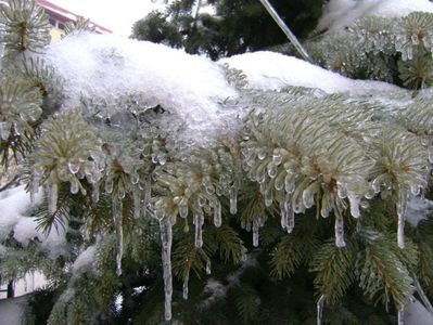 Freezing rain