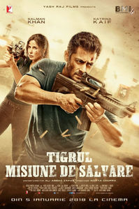 Tiger Zinda Hai (2017)