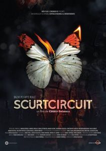 Scurtcircuit (2017)