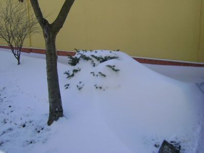 1 mart. 2018 - dupa 3 zile de viscol si ger; -20 grade C noptile
