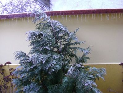 18 mart. 2018 - Freezing rain