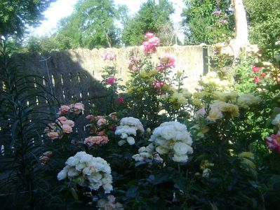 Boquet parfait,Inka,Bordure apricot