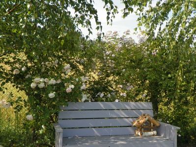 Ritausma si Paul's Himalayan Musk