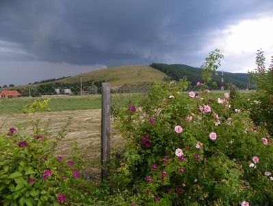 Rose Marie Viaud si Kir Royal