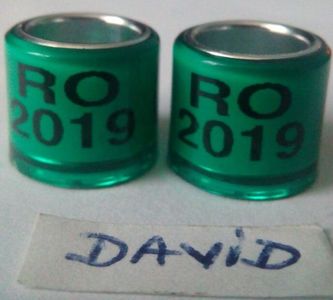 2019-verde inchis 8mm....-1 leu