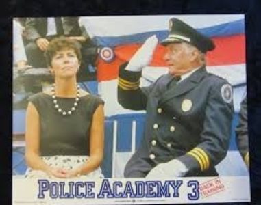 Academia De Politie