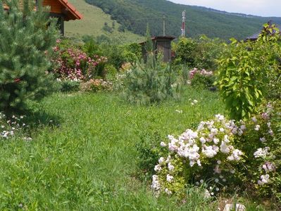 Pink Ghislaine de Feligonde