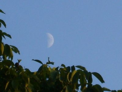 Luna in crestere in Sagetator; 5 sept. 2019
