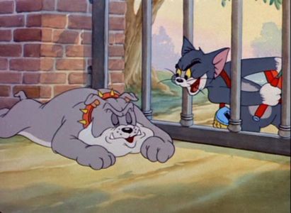 Tom si Jerry