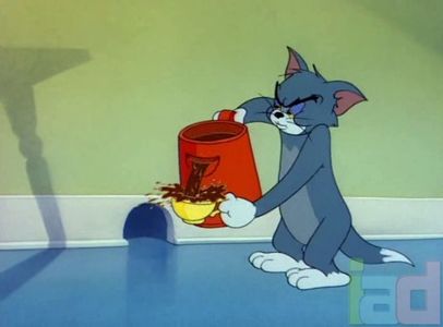 Tom si Jerry