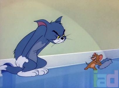 Tom si Jerry