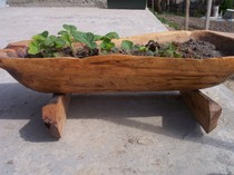 jardiniera; din 