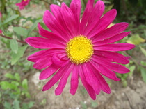 DSCF1176