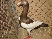 18290a