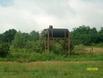 SANY0249