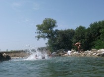 Picture 144