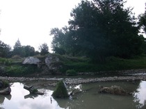 Picture 214