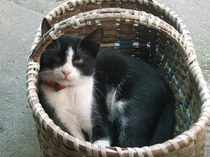 Picture 001