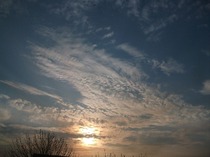 Picture 1002