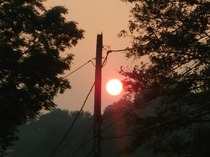 Picture 090