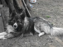 Picture 1215