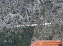 HPIM2531