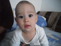 Picture 247