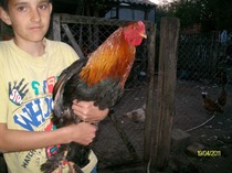SANY5492