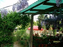 SANY6346