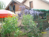 SANY6374