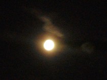 14.06.2011