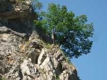 imaginile mele 1446