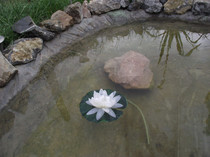 DSCF3761