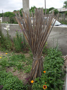 DSCF3766a