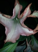 Photo0254