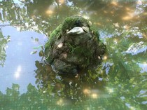 imaginile mele 042