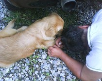 lexy-ajutor de mecanic