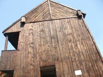 poze 309