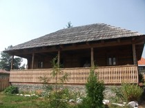 poze 789