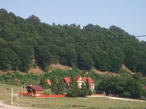 poze 647