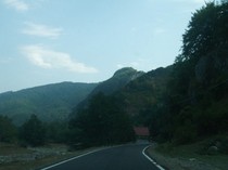 poze 894