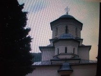 poze 1334
