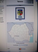 poze 1379